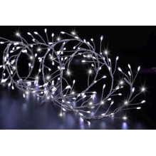 Fééric Lights and Christmas...