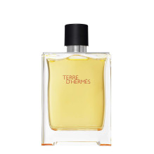 Hermes Terre D Hermes EDT 100ml Hermes Terre D Hermes EDT 100ml