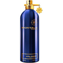 Montale Aoud Ambre EDP U 100ml