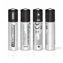 Įkraunamos ličio jonų baterijos su USB-C jungtimi, AAA tipo, 500 mAh, 1,5 V (4 vnt.)