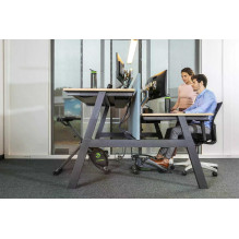 Tunturi Cardio Fit D10