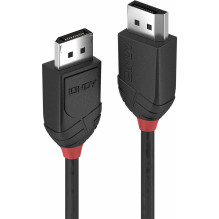 Lindy Lindy DisplayPort -...