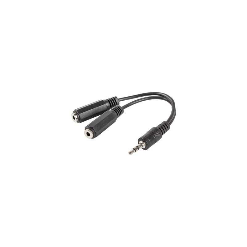 Lanberg *Adapteris Lizdas (M) - Lizdas (F)x2 10cm juodas