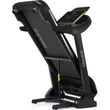 Zipro Pacemaker Gold iConsole+