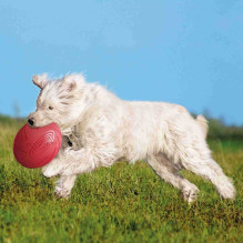 TRIXIE TRIXIE 33501 Frisbee 18cm