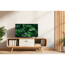 TCL 50S5L QLED televizorius (null cm (null colių))