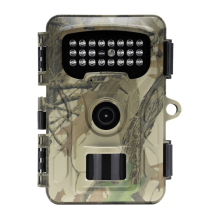 Redleaf RF06 Trail Camera