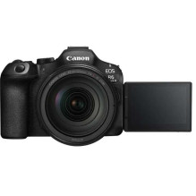 Canon EOS R6 Mark III + RF 24-105mm F / 4 IS USM