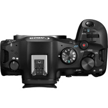 Canon EOS R6 Mark III + RF 24-105mm F4-7.1 IS STM Canon EOS R6 Mark III + RF 24-105mm F4-7.1 IS STM