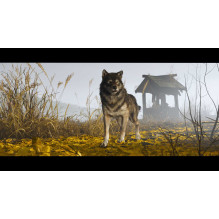 Sucker Punch Ghost of Yotei PS5