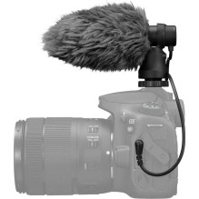 „Canon DM-E100“