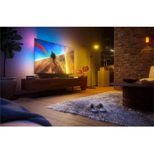 Philips 65PQS8701 / 12