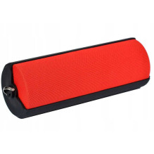 Toshiba TY-WSP70 Red