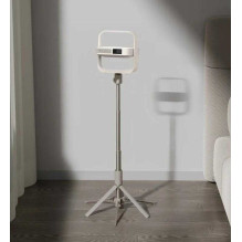 XGIMI T011R Light Gold Portable stand XGIMI T011R Light Gold Portable stand