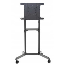 Newstar NS-M1250 37-70" juoda