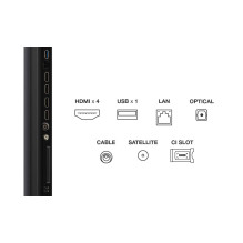 TCL 55C6K