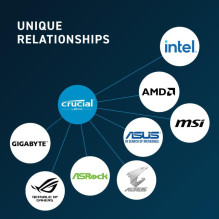 RAM Modulis - Crucial CT16G56C46U5 16 GB DDR5 5 600 MHz Juodas RAM Modulis - Crucial CT16G56C46U5 16 GB DDR5 5 600 MHz Juodas
