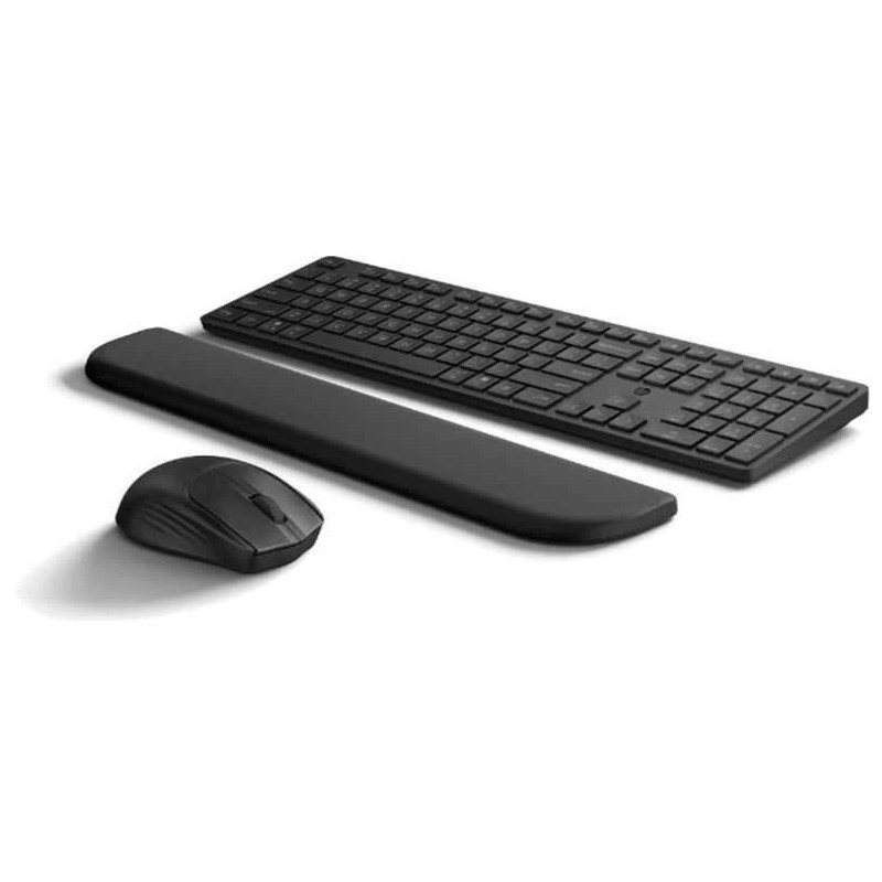 HP MultiDvcDuMdMSEKBCombowPR585C EMEA-INT klaviatūra Pridedama pelė Juoda