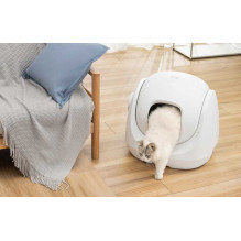 „Catlink BayMax“ versija „Catlink BayMax“ versija