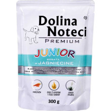 DOLINA NOTECI Dolina Noteci...