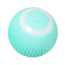 Pet toy