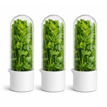3in1 vegetable storage...