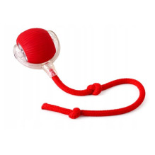 Interactive cat toy