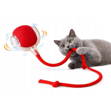 Interactive cat toy