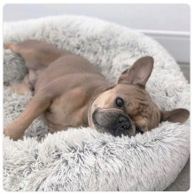Dog and cat bed 60cm
