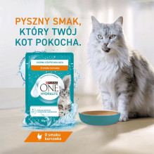 PURINA One Hydralife Chicken - cat treats - 50g PURINA One Hydralife Chicken - cat treats - 50g
