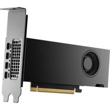 HP RTX 2000 Ada 16GB GDDR6 128bit HP RTX 2000 Ada 16GB GDDR6 128bit