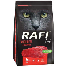 DOLINA NOTECI Rafi Cat with...