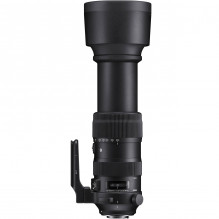 Sigma 60-600mm F4.5-6.3 DG OS HSM | Sports | Canon EF mount