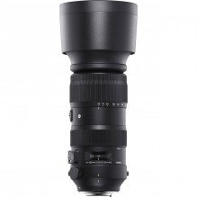 Sigma 60-600mm F4.5-6.3 DG OS HSM | Sports | Nikon F mount