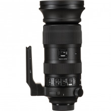 Sigma 60-600mm F4.5-6.3 DG OS HSM | Sports | Nikon F mount