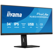 iiyama Monitor...