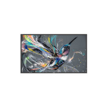 PHILIPS Q-Line 55BDL3511Q...