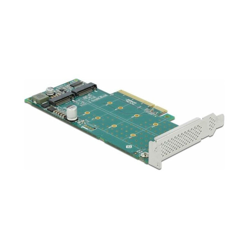 Controller Delock PCIe 4.0 x8 - 2x M.2 NVMe M-key (89045)