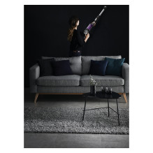 Rowenta RH 2037 X-Force 9.60 Allergie Rowenta RH 2037 X-Force 9.60 Allergie