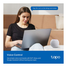 TP-Link Tapo P110M smart plug