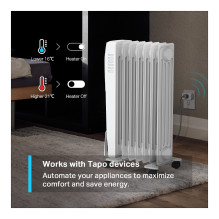 TP-Link Tapo T310