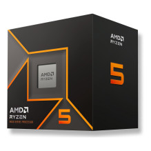 AMD Ryzen 5 9600 procesorius