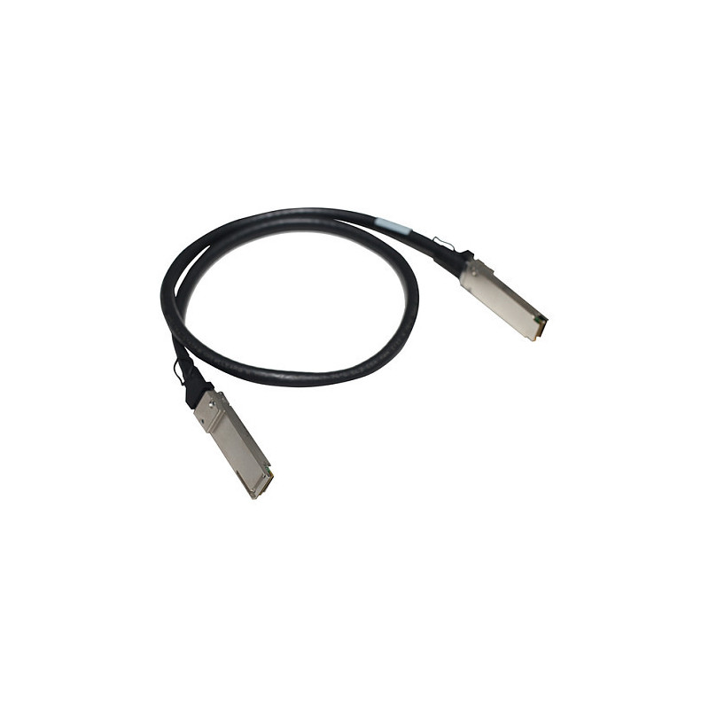 HPE Aruba Networking 100G QSFP28 į QSFP28 1m tiesioginio prijungimo varinis kabelis InfiniBand / šviesolaidinis kabelis