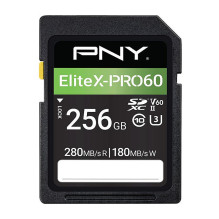 PNY EliteX-PRO60