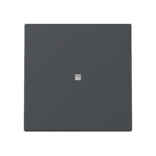 GIRA 329028 wall plate /...