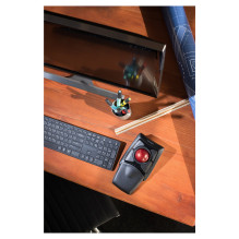 Kensington K72359WW mouse