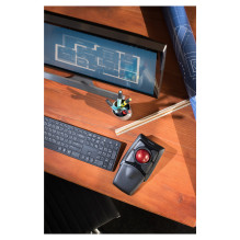 Kensington K72359WW mouse