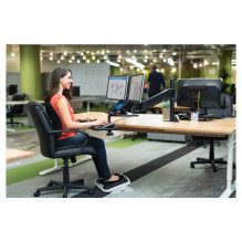 Kensington K72359WW mouse