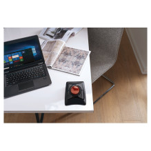 Kensington K72359WW mouse