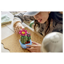 LEGO Botanicals Žydintis kaktusas 11509